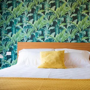  Affittacamere Altamothyca